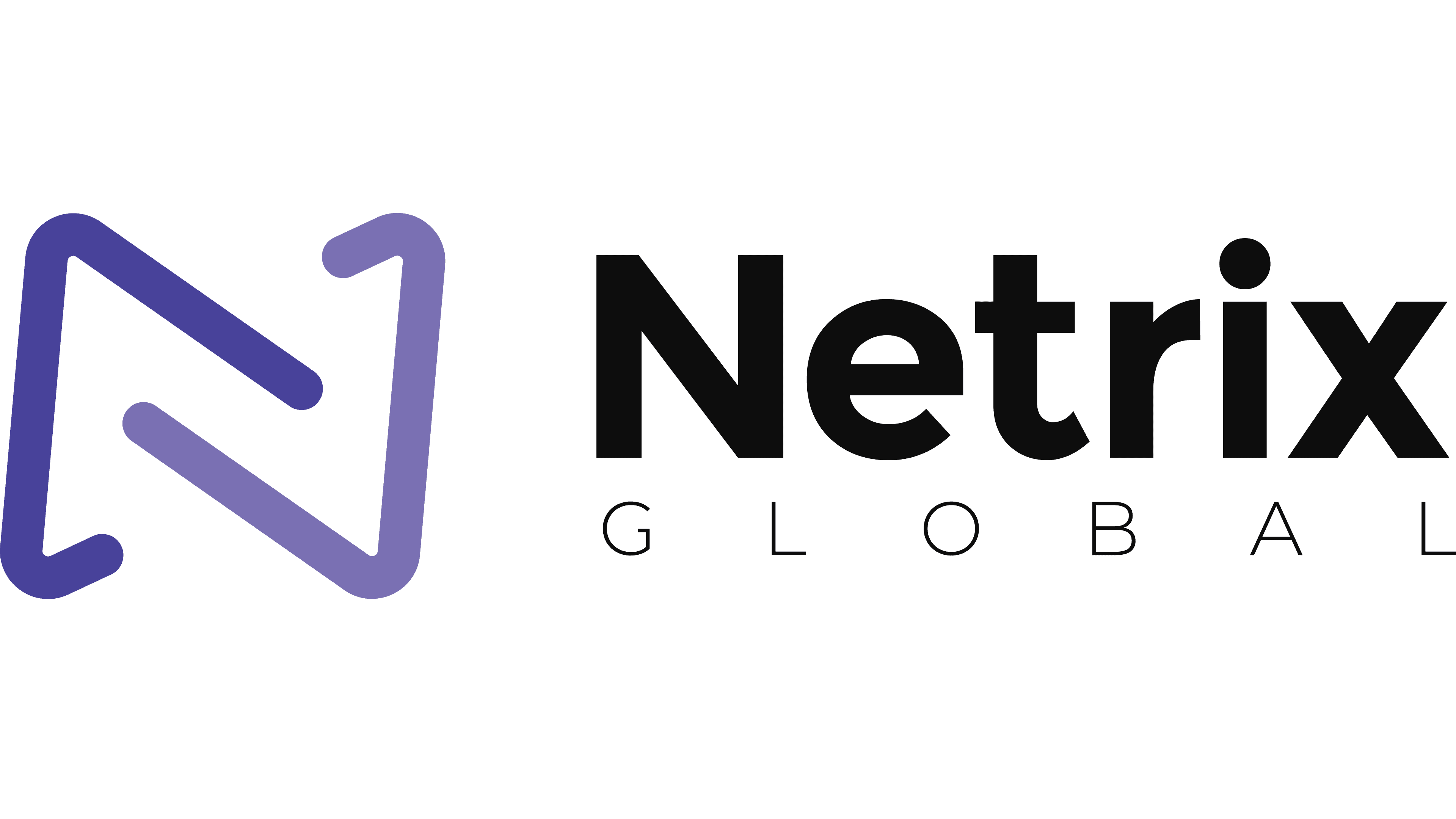 Netrix Netrix